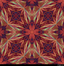 210220-194642-974a1cb3
